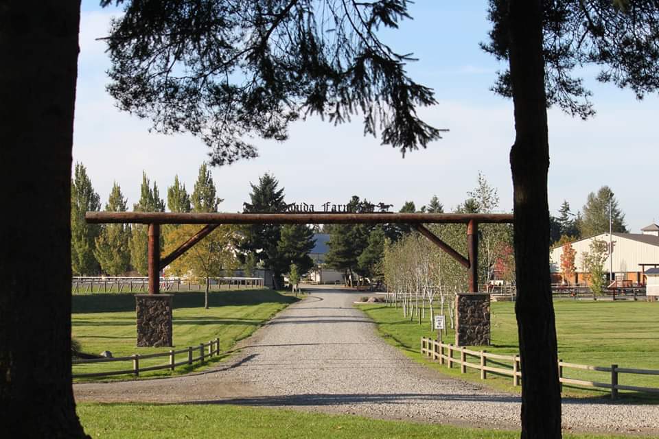 (CANCELLED) The Naughty Equestrian Event | Donida Dressage Schooling Show - 3-21-2020